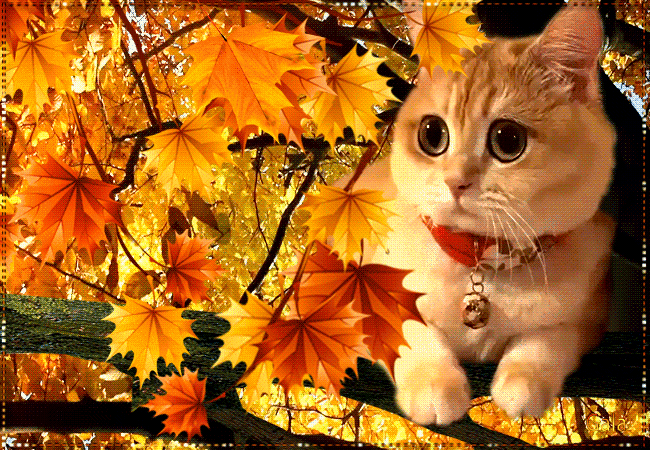 Гиф картинка осенний приветик Гиф картинка осенний приветик