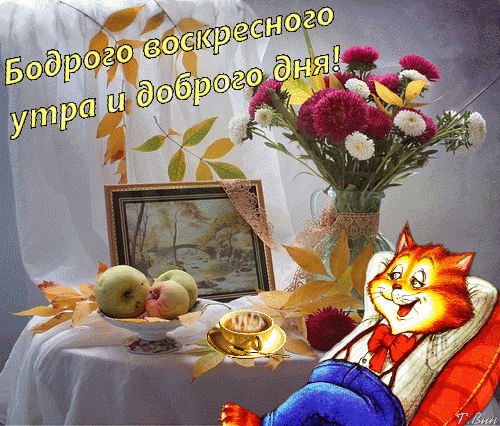 Доброе бодрое утро воскресенья гиф