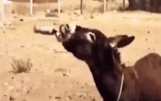 Гифка Завалил тест на допинг Гифка Завалил тест на допинг