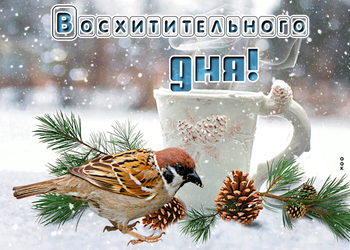 Добрый день анимация