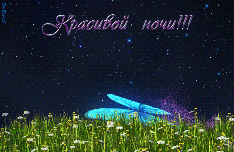 Прикольная гиф картинка с пожеланием красивой майской ночи! Прикольная гиф картинка с пожеланием красивой майской ночи!