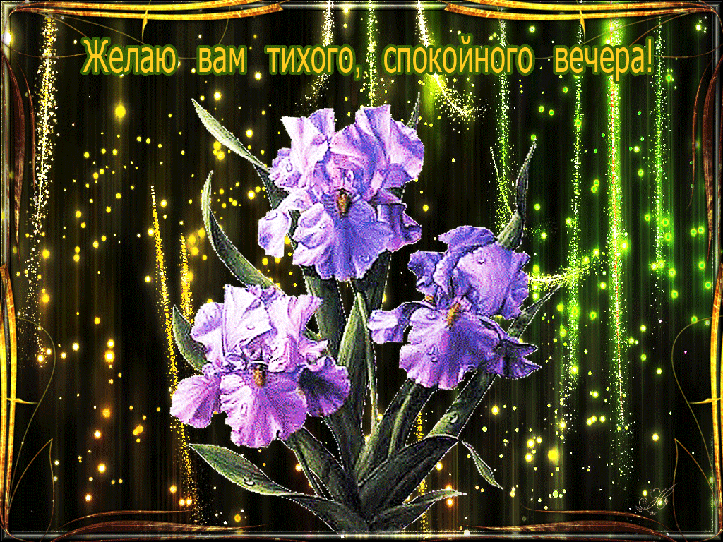 Gif открытка с цветами и пожеланием тихого, спокойного майского вечера! Gif открытка с цветами и пожеланием тихого, спокойного майского вечера!