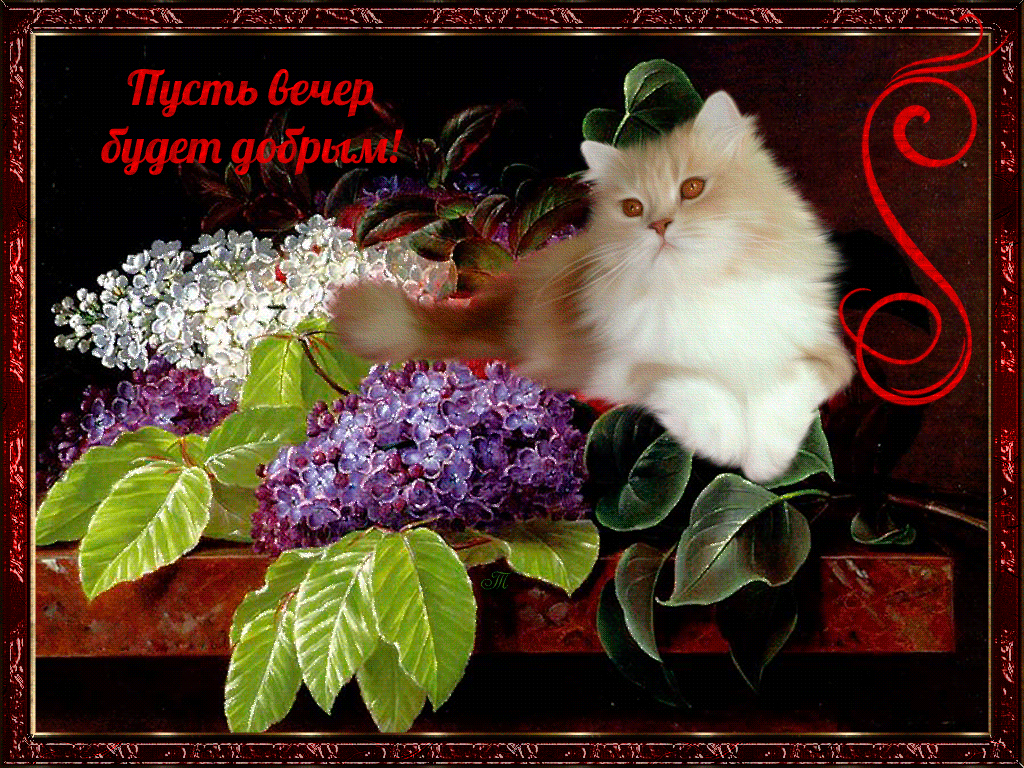 Гиф пусть вечер будет добрым! Гиф пусть вечер будет добрым!