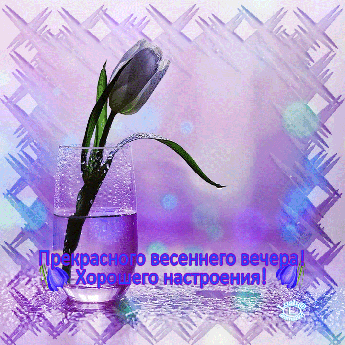 Анимация с пожеланием прекрасного весеннего вечера и хорошего Майского настроения! Анимация с пожеланием прекрасного весеннего вечера и хорошего Майского настроения!