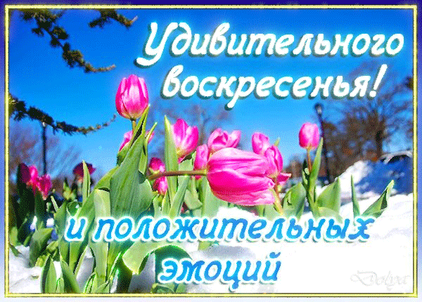 Мерцающая картинка с пожеланием удивительного весеннего воскресенья и положительных эмоций!
