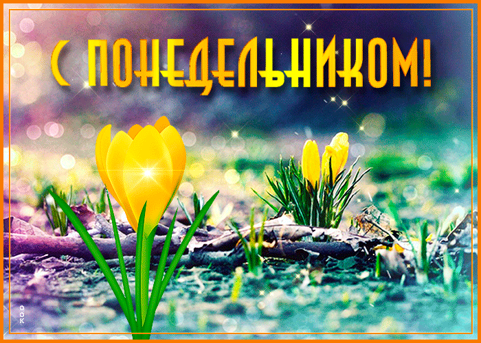 Приятная весенняя картинка с пожеланием хорошего и доброго понедельника с тюльпаном! Приятная весенняя картинка с пожеланием хорошего и доброго понедельника с тюльпаном!