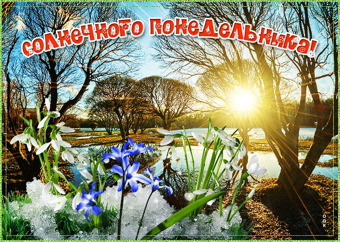 Мерцающая картинка с пожеланием весеннего и солнечного понедельника Мерцающая картинка с пожеланием весеннего и солнечного понедельника