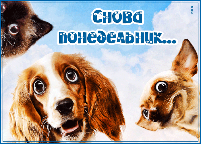 Открытка снова понедельник с собаками! Открытка снова понедельник с собаками!
