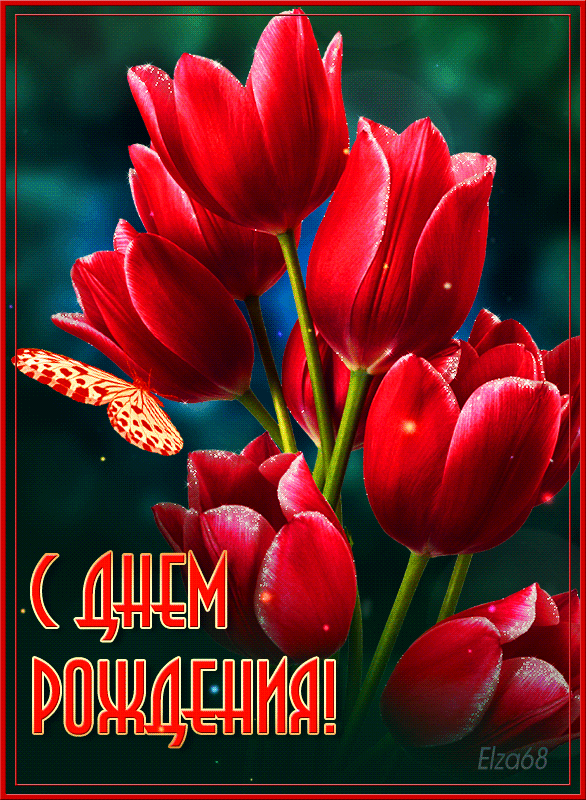 Красивые поздравления с Днем рождения женщине! Красные тюльпаны.