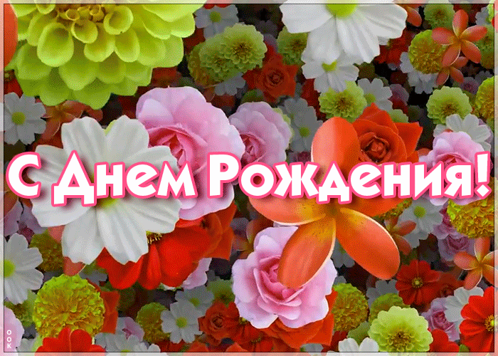 Поздравления с днём рождения женщине красивые