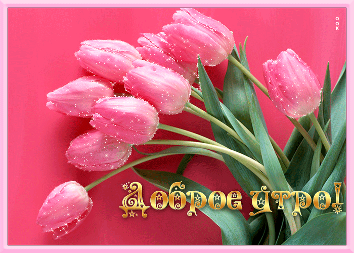 Музыкальная открытка с добрым утром и тюльпанами! Музыкальная открытка с добрым утром и тюльпанами!