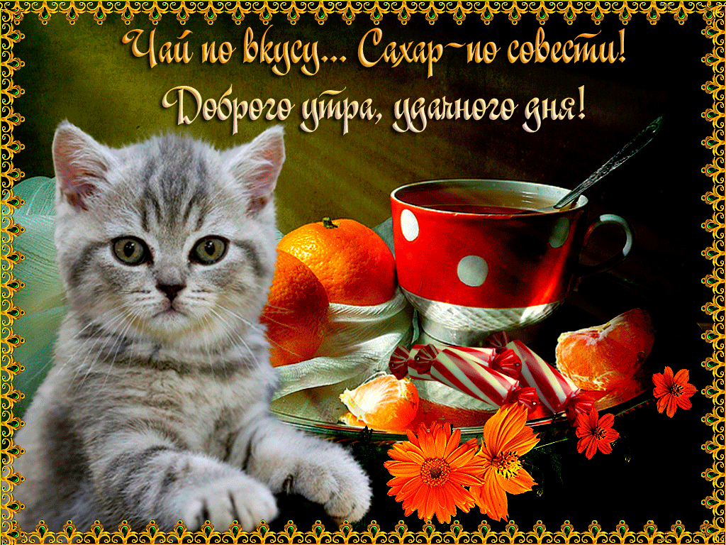 Пожелания с добрым утром гиф. Анимационные поздравления с добрым утром. Пожелания с добрым утром гиф. Анимационные поздравления с добрым утром.