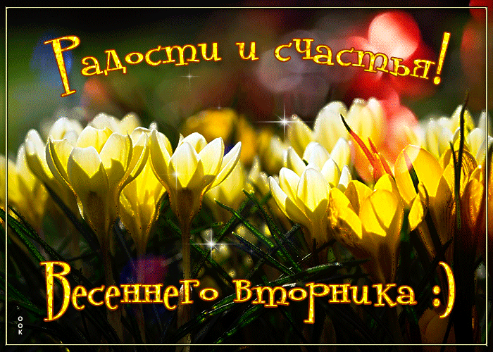 Открытка с пожеланием хорошего весеннего вторника, радости и счастья! Открытка с пожеланием хорошего весеннего вторника, радости и счастья!