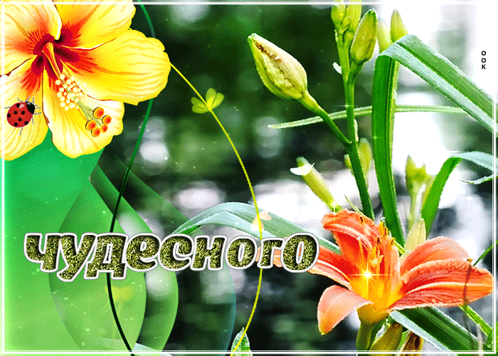 Анимационная картинка поздравляю и желаю чудесного весеннего вторника! Анимационная картинка поздравляю и желаю чудесного весеннего вторника!