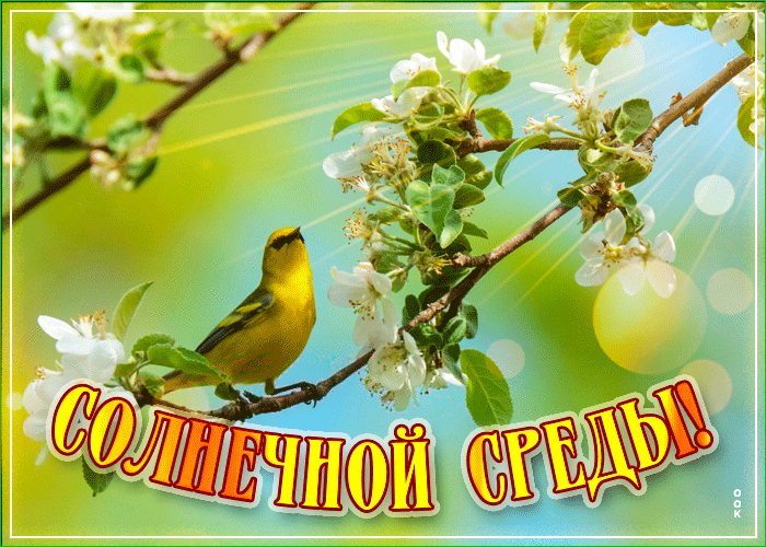 Картинка с пожеланием солнечной среды Картинка с пожеланием солнечной среды