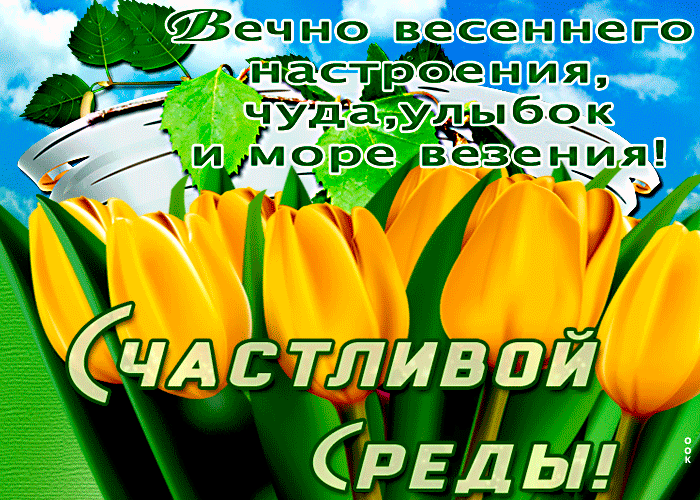 Весенняя картинка со средой с пожеланиями с тюльпанами. Весенняя картинка со средой с пожеланиями с тюльпанами.
