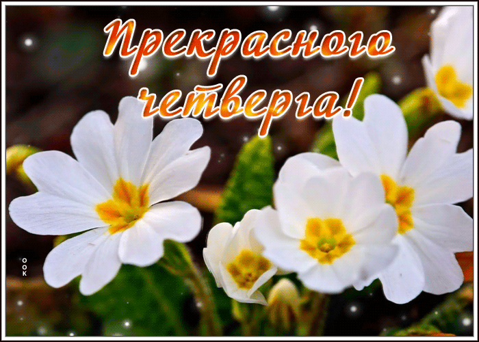 Мерцающая картинка с пожеланием прекрасного весеннего четверга Мерцающая картинка с пожеланием прекрасного весеннего четверга