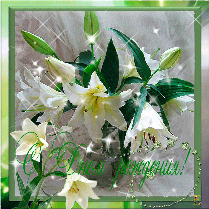 Поздравления с днём рождения лилии Поздравления с днём рождения лилии