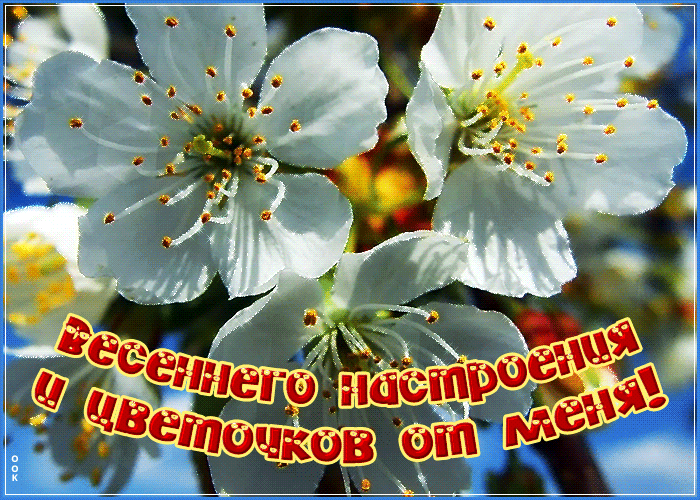 Картинка весна с пожеланиями хорошего настроения и цветочков от меня! Картинка весна с пожеланиями хорошего настроения и цветочков от меня!