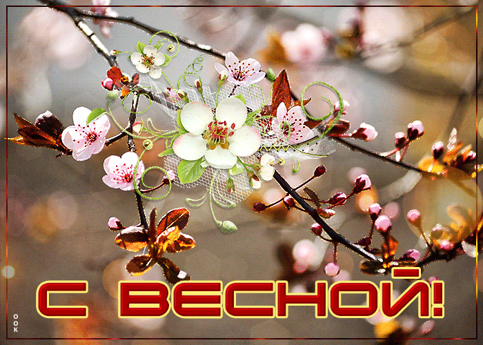 Нежная картинка с весной. Красивые Весенние картинки и открытки. Нежная картинка с весной. Красивые Весенние картинки и открытки.