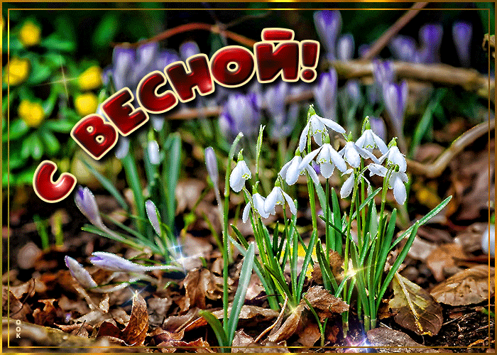 Необычная открытка поздравляю с весной Необычная открытка поздравляю с весной