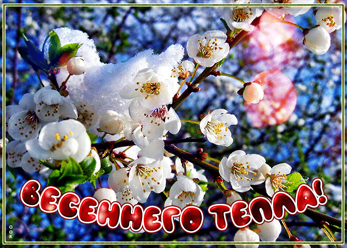 Открытка с весной с природой и пожеланием весеннего тепла! Открытка с весной с природой и пожеланием весеннего тепла!