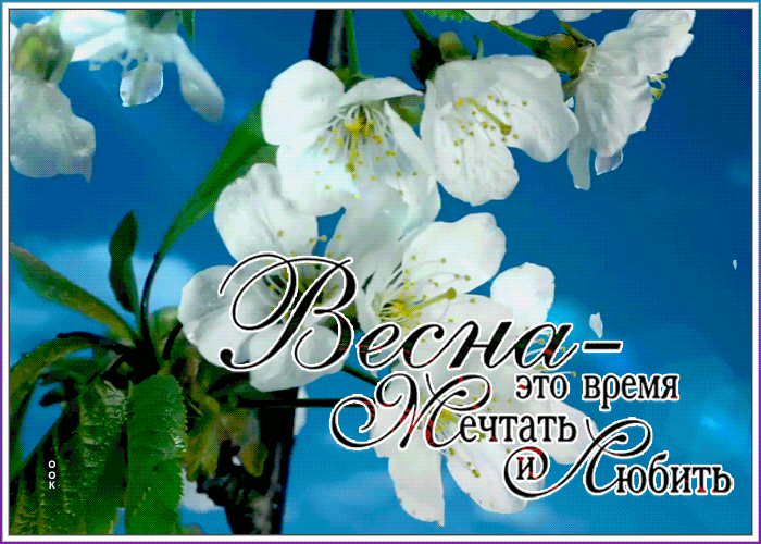 Нежная картинка с весной. Красивые Весенние картинки и открытки. Нежная картинка с весной. Красивые Весенние картинки и открытки.