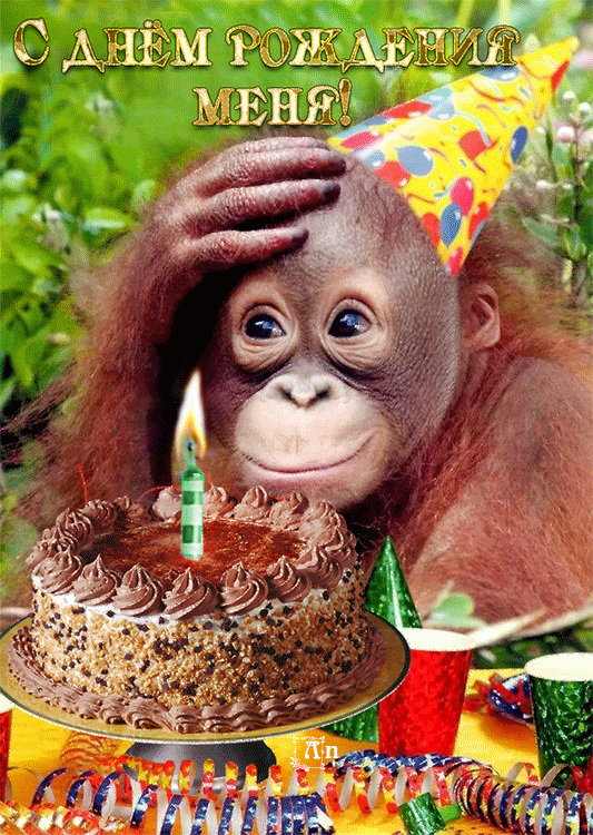 Смешная открытка с днем рождения меня Смешная открытка с днем рождения меня
