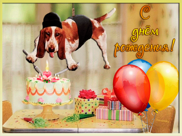 Анимашки с днем рождения прикольные. С днем рождения веселая анимация. Анимашки с днем рождения прикольные. С днем рождения веселая анимация.