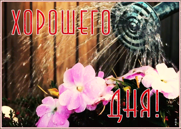 Красочная летняя картинка хорошего дня Красочная летняя картинка хорошего дня