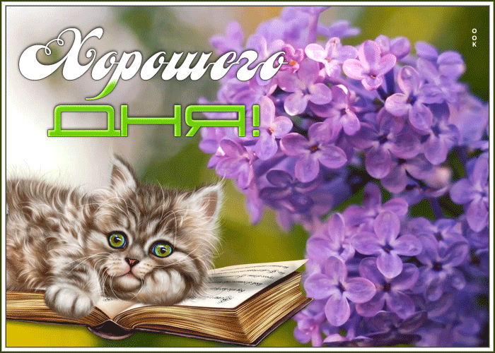 Красивая гиф картинка с пожеланием очень хорошего дня Красивая гиф картинка с пожеланием очень хорошего дня