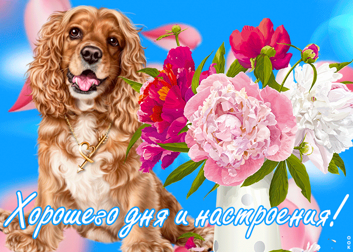 Восхитительная картинка с пожеланием хорошего дня и отличного настроения! Восхитительная картинка с пожеланием хорошего дня и отличного настроения!