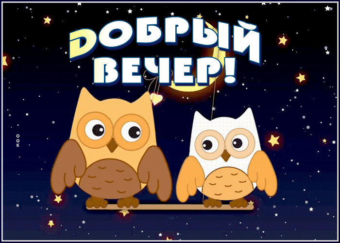 Забавная открытка добрый вечер с нарисованными совами на звёздном небе!