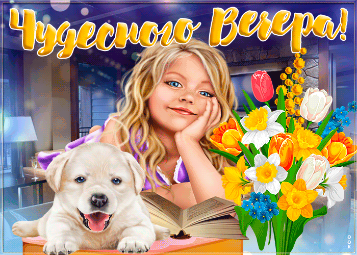 Красивая и ярка картинка добрый вечер с девушкой и собакой!