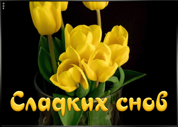 Пожелание сладких снов