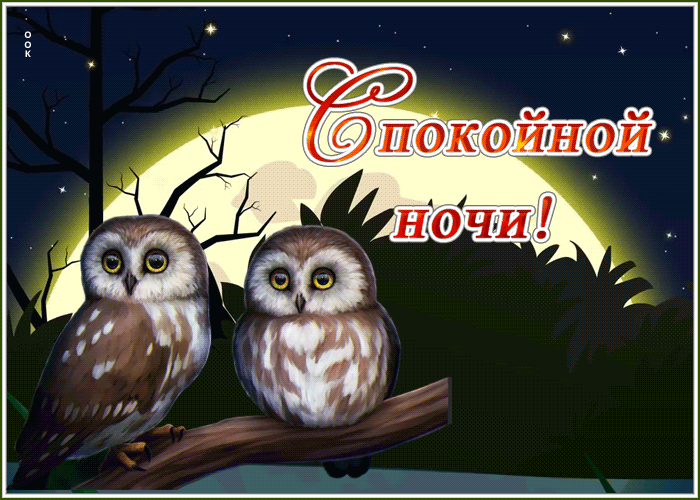 Блестящая картинка с пожеланием спокойной ночи с совами!