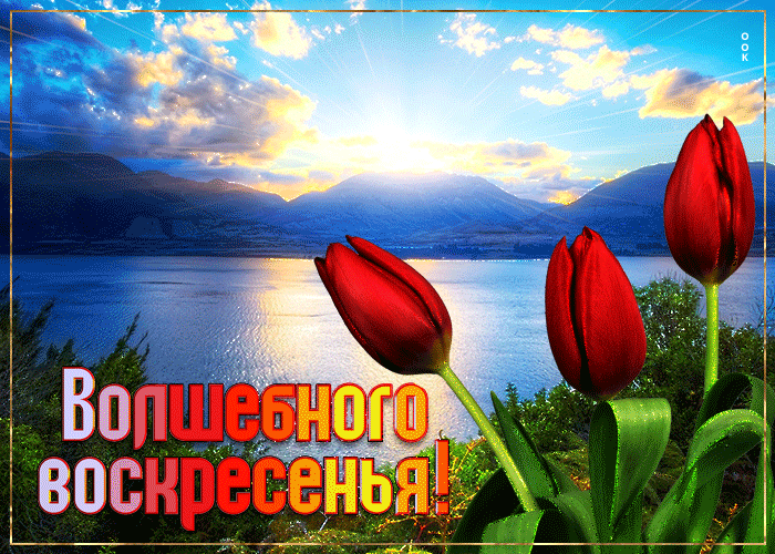 Очень красивая весенняя открытка с пожеланием волшебного Воскресного утра!