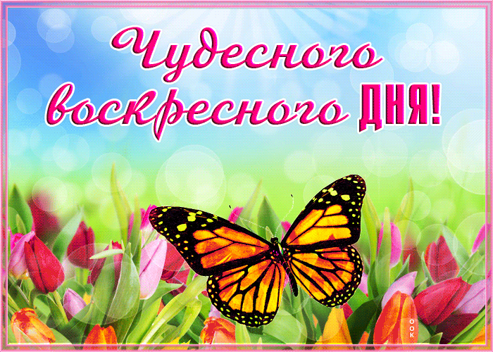 Гифка с пожеланием чудесного летнего воскресного утра и хорошего дня!