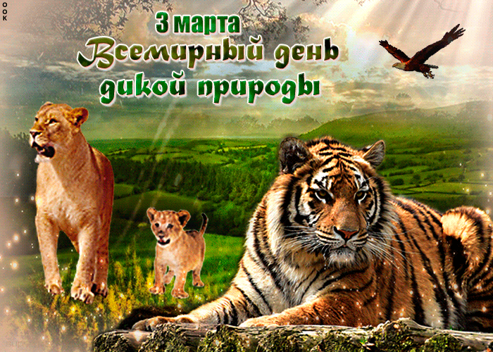 Прикольная гифка, картинка Всемирный день дикой природы 3 марта. Прикольная гифка, картинка Всемирный день дикой природы 3 марта.