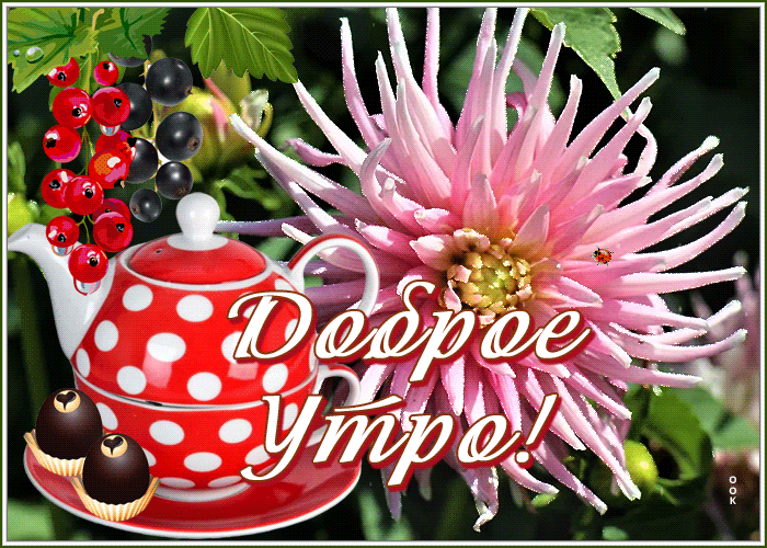 Открытка доброе утро на любой случай Открытка доброе утро на любой случай