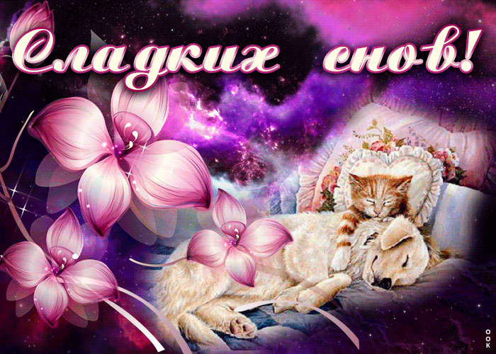 Очень красивые гифки спокойной ночи