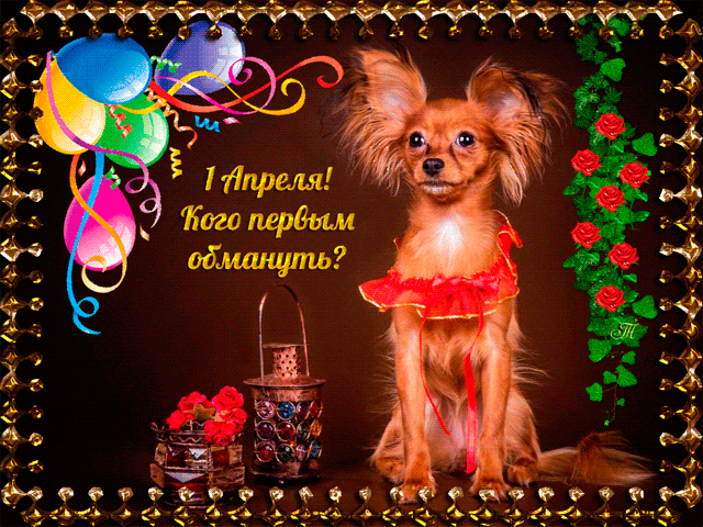Прикольная гифка на 1 апреля с собакой! Прикольная гифка на 1 апреля с собакой!