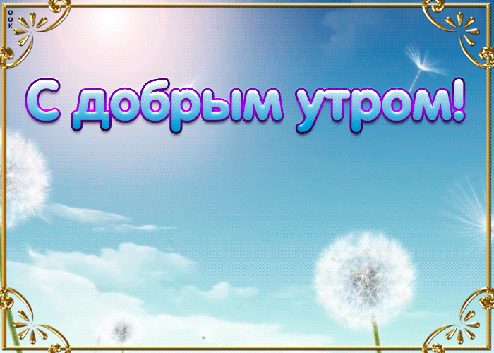 С добрым утром прекрасная анимация с одуванчиками С добрым утром прекрасная анимация с одуванчиками