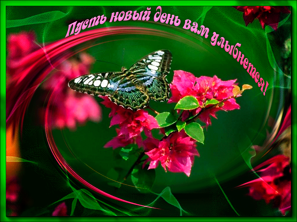 Открытки доброе утро и хорошего дня красивые Открытки доброе утро и хорошего дня красивые