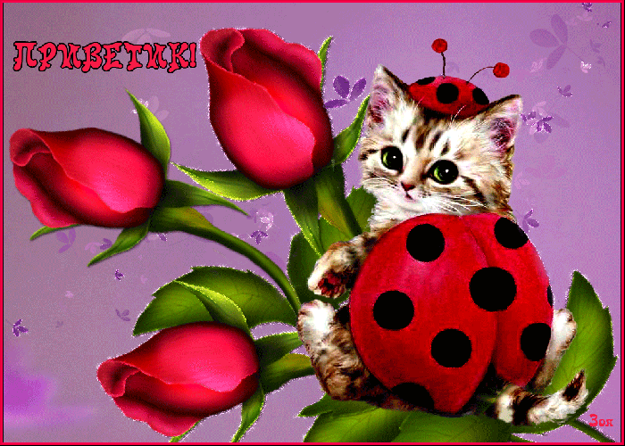 Красивая анимационная картинка приветик всем моим друзьям Красивая анимационная картинка приветик всем моим друзьям