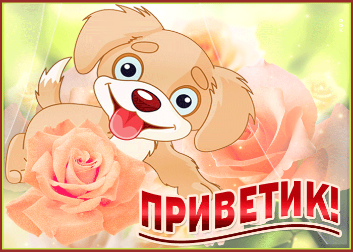 От меня большой привет тебе gif открытка От меня большой привет тебе gif открытка