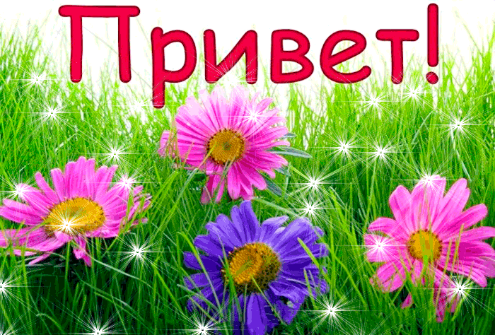 Гифка привет, мой миленький дружок Гифка привет, мой миленький дружок