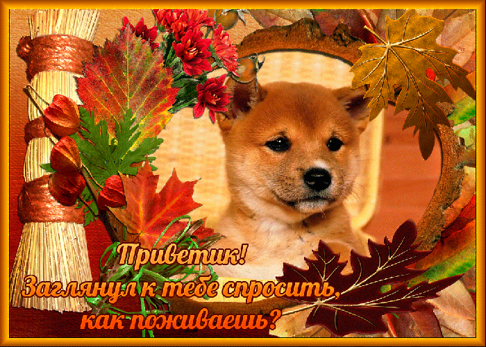 Открытка шлю тебе тёплый приветик Открытка шлю тебе тёплый приветик