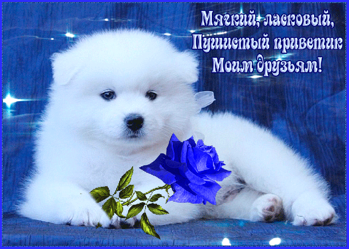 Всем друзьям приветик от меня гифка! Всем друзьям приветик от меня гифка!