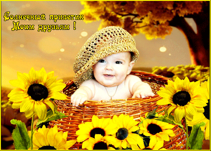 Красивые открытки привет Красивые открытки привет